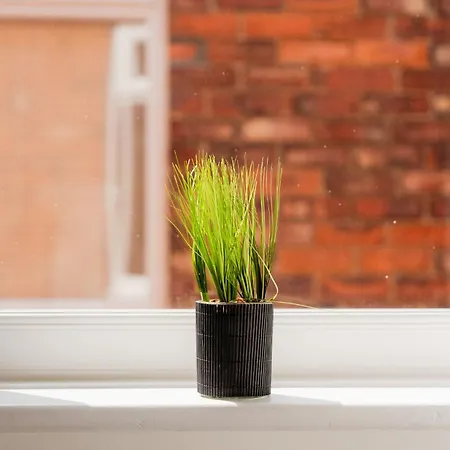 公寓 House By Horizon 雷德卡